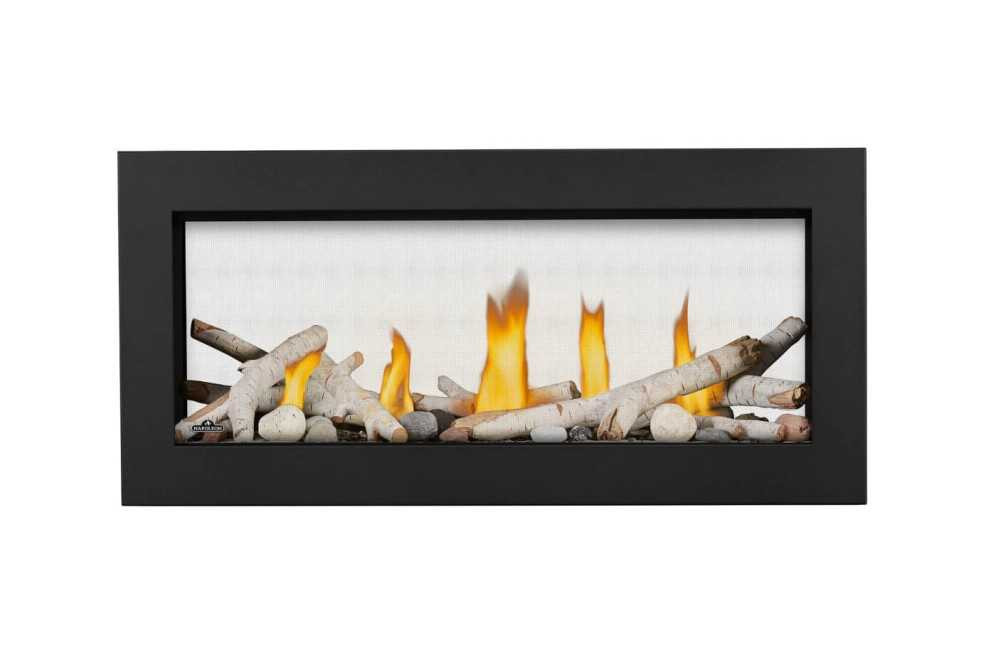 Napoleon Vector Series 38" See Thru Direct Vent Gas Fireplace LV38N2-1