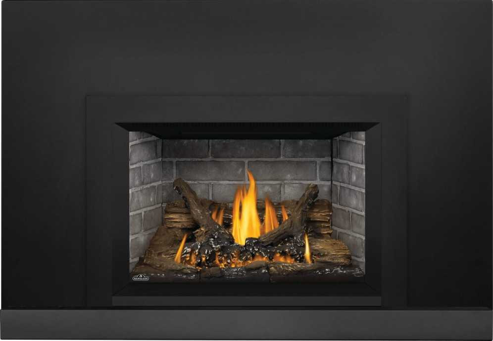 Napoleon Oakville 3 Gas Fireplace Insert GDI3NE-1