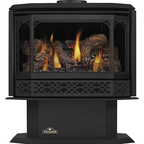 Napoleon Door - Metallic Black for Havelock GS350K-1