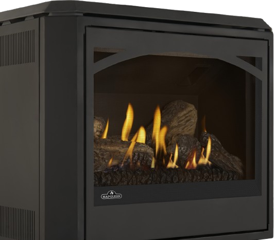 Napoleon ARCHGDS50 Arched Glass Door — manufacturer image illustrates component installed; stove sold separately