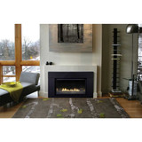 Empire Hearth 46" Loft Contemporary Direct Vent Linear Fireplace DVL46BP