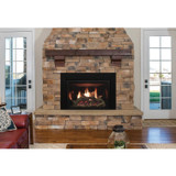 Empire Hearth 35" Rushmore Clean Face Direct Vent Insert DVCT35CBN95