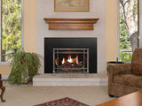 Empire Hearth 35" Rushmore Clean Face Direct Vent Insert DVCT35CBN95