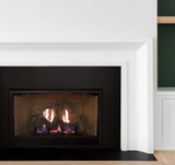 Empire Hearth Innsbrook Small Direct Vent Insert DVC20IN