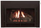 Empire Comfort Systems Small Black Transom Decorative Doors (non-operable) DFD20DBL