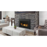 Majestic Products 30" Ruby Direct Vent Gas Insert RUBY30I