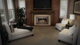 Napoleon Inspiration ZC Gas Fireplace Insert GDIZC-NSB
