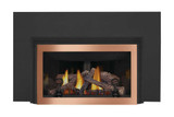 Napoleon Inspiration ZC Gas Fireplace Insert GDIZC-NSB