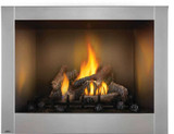 Napoleon Riverside 42" Clean Face Outdoor Gas Fireplace GSS42CFN
