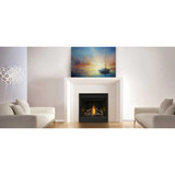 Napoleon Ascent 42" Direct Vent Gas Fireplace B42