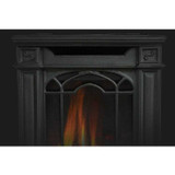 Napoleon Arlington Direct Vent Gas Stove GDS20N