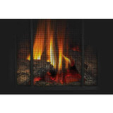 Napoleon Arlington Direct Vent Gas Stove GDS20N