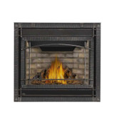Napoleon Ascent X 36" Direct Vent Gas Fireplace GX36