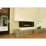 Napoleon Vector 50" See Thru Direct Vent Gas Fireplace LV50N2-2