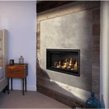 Napoleon Vector 50" See Thru Direct Vent Gas Fireplace LV50N2-2
