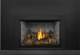 Napoleon Oakville 3 Gas Fireplace Insert GDI3NE-1