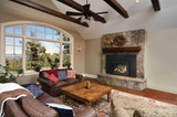 Napoleon Oakville X3 Gas Fireplace Insert GDIX3N-1