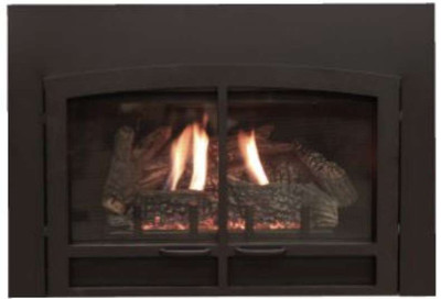 Empire Hearth Medium Black Horizon Decorative Doors (non-operable) DFD28HBL
