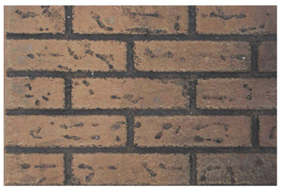 Empire Hearth 42" Vent-Free Traditional Brick Liner VBP42D2F