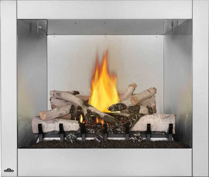 Napoleon 36" Riverside Outdoor Gas Fireplace GSS36CFNE