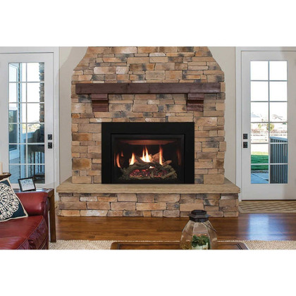 Empire Hearth 30" Rushmore Clean Face Direct Vent Insert DVCT30CBN95