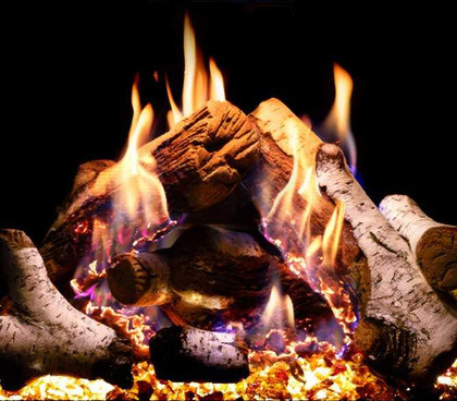 Empire Hearth Premium Insert Birch Log Set LS34BIN