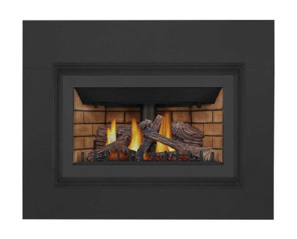 Napoleon Inspiration ZC Gas Fireplace Insert GDIZC-NSB