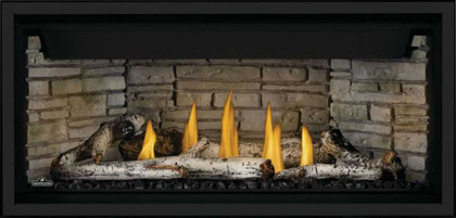 Napoleon Ascent 46" Direct Vent Gas Linear Premium Fireplace BL46NTE