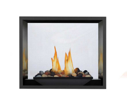 Napoleon High Definition See-Through Gas Fireplace HD81NT-1