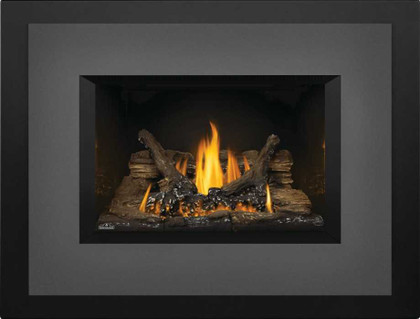 Napoleon Oakville 3 Gas Fireplace Insert GDI3NE-1