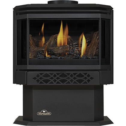 Napoleon Door - Metallic Black for Haliburton GS328K-1