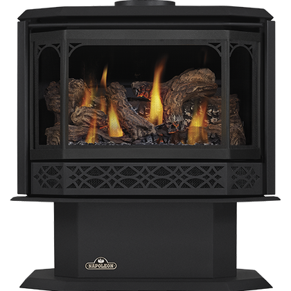 Napoleon Door - Metallic Black for Havelock GS350K-1