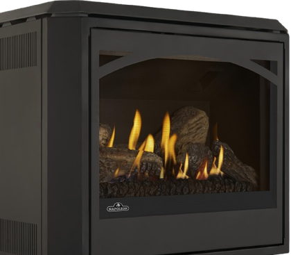 Napoleon ARCHGDS50 Arched Glass Door — manufacturer image illustrates component installed; stove sold separately