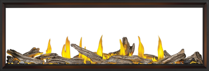 Napoleon Tall Linear Vector 74 See-Through Natural Gas Fireplace TLV74N2