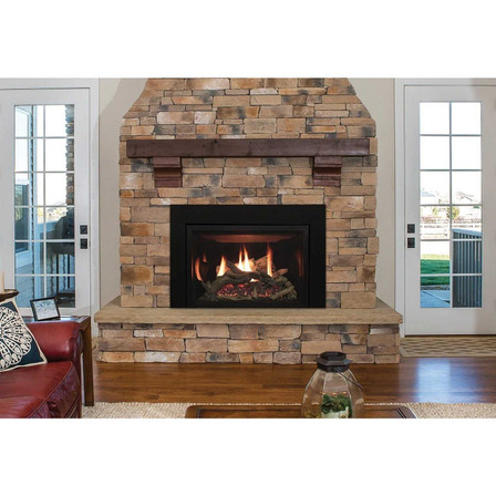 Empire Hearth 30" Rushmore Clean Face Direct Vent Insert DVCT30CBN95