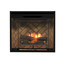 Dimplex Revillusion® 24" Built-In Electric Firebox - Herringbone - Available November REV24-HB