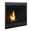 Superior 33" Direct Vent Contemporary Gas Fireplace DRC2033