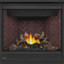 Napoleon Ascent X 36" Direct Vent Gas Fireplace BX36
