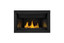 Napoleon 36" Ascent Linear Gas Fireplace BL36NTEA-1