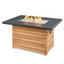 Outdoor Greatroom Darien Rectangular Gas Fire Pit Table with Aluminum Top DAR-1224-K