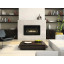 Empire Hearth 36" Loft Contemporary Direct Vent Linear Fireplace DVL36BP