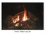 Empire Hearth  50" Forest Timber TruFlame Fiber Log Set LS50TINF