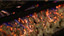 Empire Hearth Glowing Embers GMB
