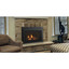 Majestic Products 30" Jasper Direct Vent Natural Gas Insert JASPER30IN