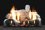 Empire Hearth 18" Birch Ceramic Log set for Slope Glaze Burner LS18B2