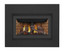 Napoleon Inspiration ZC Gas Fireplace Insert GDIZC-NSB