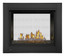 Napoleon Ascent Multi-View See-Thru Direct Vent Gas Fireplace BHD4ST