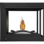 Napoleon Ascent Multi-View Peninsula Direct Vent Gas Fireplace BHD4P