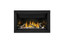 Napoleon Ascent Series 42" Linear Premium Direct Vent Gas Fireplace BLP42NTE