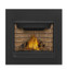 Napoleon Ascent X 36" Direct Vent Gas Fireplace GX36
